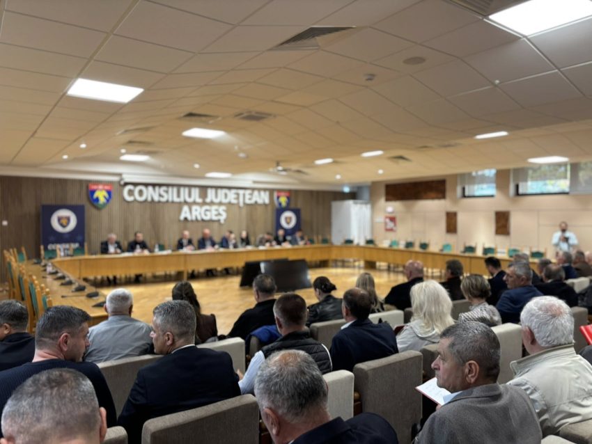 PSD Argeș va avea 98 de delegați la Congresul Extraordinar PSD din 7 noiembrie 1 PSD Argeș