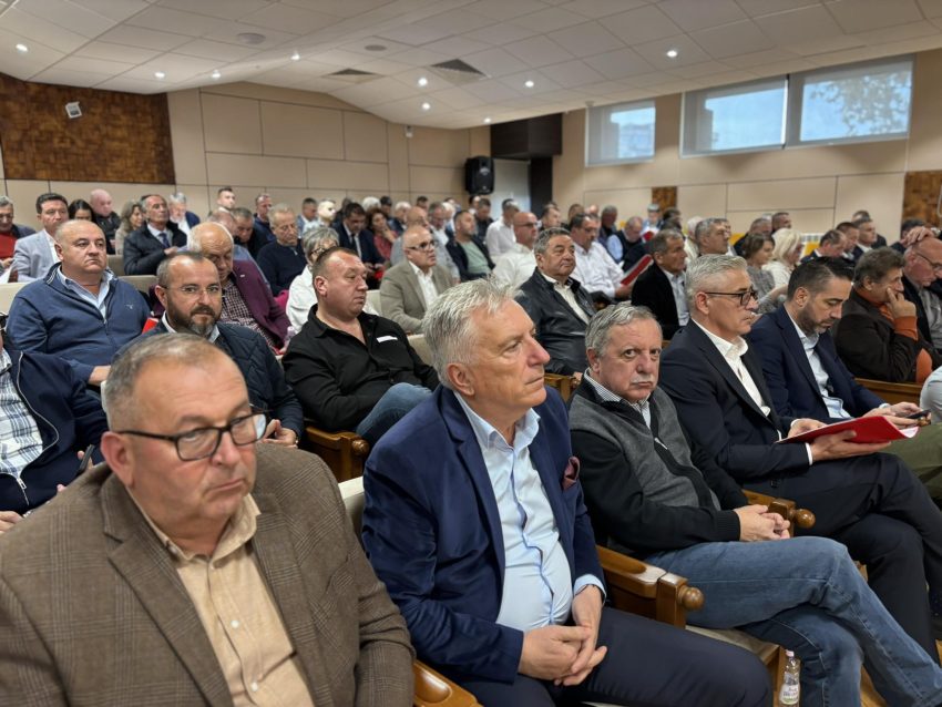 PSD Argeș va avea 98 de delegați la Congresul Extraordinar PSD din 7 noiembrie 4 PSD Argeș