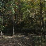 Sursă foto: Primăria Municipiului Pitești