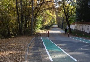 Proiect finalizat: canalizarea pluvială modernizată pe strada Trivale – zona Schit Trivale 3 padurea trivale generic 2 - Proiect finalizat: canalizarea pluvială modernizată pe strada Trivale – zona Schit Trivale