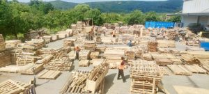Deținuții din Penitenciarul Mioveni au realizat venituri de circa 500.000 de lei în septembrie 1 detinuti muncitori - Deținuții din Penitenciarul Mioveni au realizat venituri de circa 500.000 de lei în septembrie