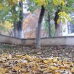 Cum va fi vremea în luna noiembrie 10 6862ef85 631e 4b4b b4e4 afaa21d61e81 1 - Cum va fi vremea în luna noiembrie
