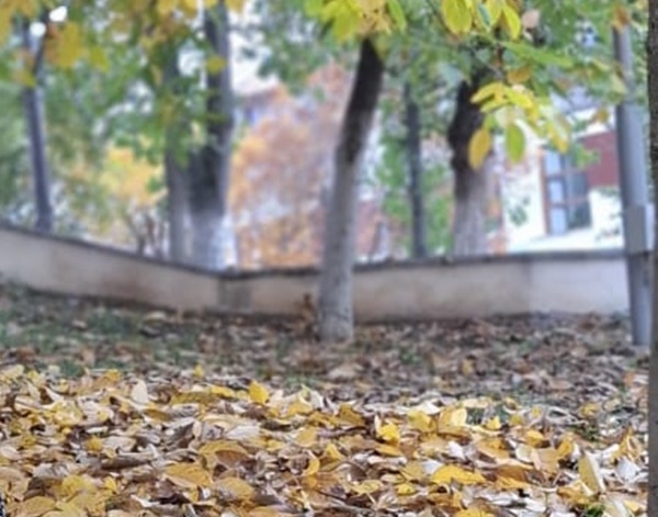 Vreme toamna