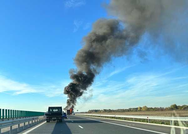 ef3ff10e-11c8-476a-ab9f-207ebd697d51