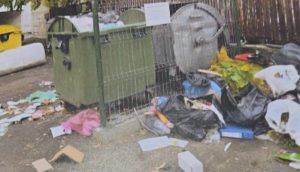 7cb041e0 e463 4bdc 85a3 bed753d9b3eb - Gunoiul aruncat la întâmplare costă scump: piteșteni amendați de polițiștii locali