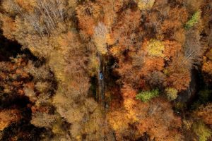 Sursă foto: organizatori.