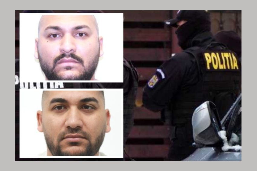 Dani Mocanu cautat Dani Mocanu cautat