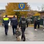 (Video) Acțiuni pentru creșterea gradului de siguranță școlară la Câmpulung 13 Untitled Project 1 - (Video) Acțiuni pentru creșterea gradului de siguranță școlară la Câmpulung