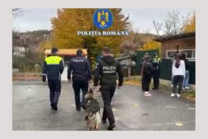 actiuni scoala Campulung