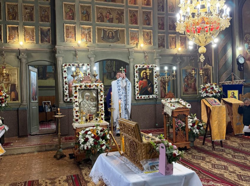 Sursă foto: FB Alina Gorghiu.