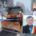 primari arges afaceri deszapezire