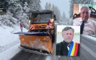 primari arges afaceri deszapezire