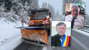 primari arges afaceri deszapezire