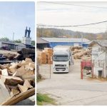 Una dintre cele mai vechi firme din industria forestieră a Argeșului şi-a cerut insolvenţa 14 firma trei brazi SRL Campulung 2