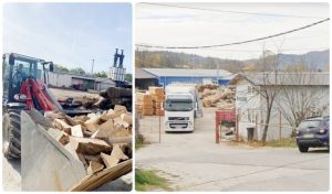 firma trei brazi SRL Campulung 2