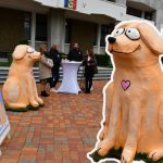 Sursă foto: FB CJ Argeș.