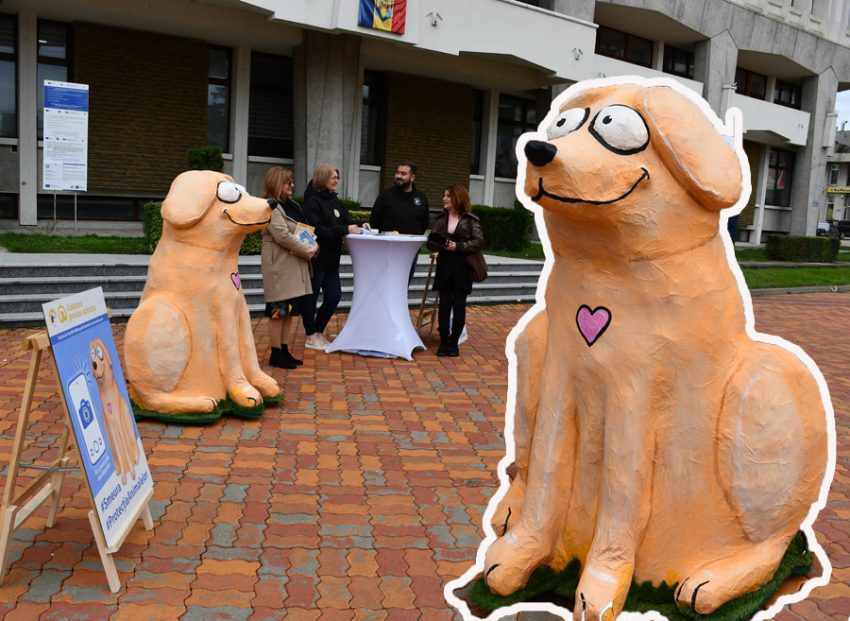 Sursă foto: FB CJ Argeș.