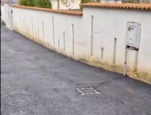 Sursă foto: screenshot fb Cristian gentea