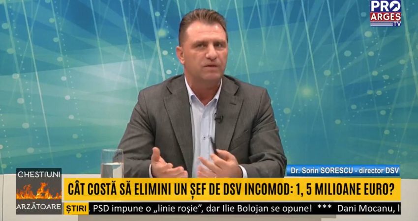 DSV Argeș, Sorin Sorescu