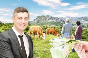 dosar dna frauda fonduri apia rucar pirnuta