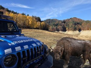 Sursă foto: IJJ Argeș și wikipedia.org.