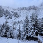 Vreme rece azi, 19 noiembrie. La munte a nins iar Făgărașul s-a îmbrăcat în alb 10 Muntii Fagaras zapada
