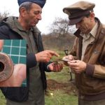 Fragmente noi dintr-un B-24 doborât în 1944, descoperite lângă Topoloveni 10 Sursă foto: FB Generalul maior rtr. Radu Theodoru