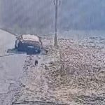 (VIDEO) Piteștean amendat cu 12.000 de lei, după ce și-a abandonat câinii pe marginea drumului 10 e85131e9 9658 45b1 b97a f4bfe0be191f - (VIDEO) Piteștean amendat cu 12.000 de lei, după ce și-a abandonat câinii pe marginea drumului