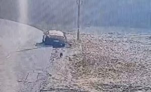 e85131e9 9658 45b1 b97a f4bfe0be191f - (VIDEO) Piteștean amendat cu 12.000 de lei, după ce și-a abandonat câinii pe marginea drumului