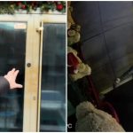 Medicul Mihai Dascălu a obținut ordin de protecție împotriva lui Bogdan Mătușoiu 13 page 2 - Medicul Mihai Dascălu a obținut ordin de protecție împotriva lui Bogdan Mătușoiu