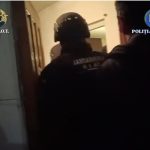 cats 2 - (VIDEO) Percheziții în Argeș și Republica Moldova! Acte de identitate și permise de conducere,