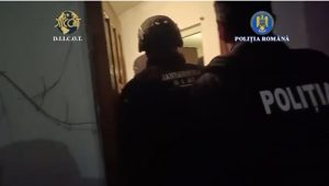 cats 2 - (VIDEO) Percheziții în Argeș și Republica Moldova! Acte de identitate și permise de conducere,