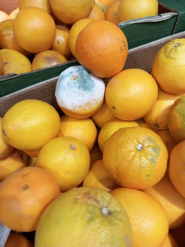 591264988 1315155797311683 3949157034166342311 n - Controale ANPC: produse retrase și amenzi de peste 5 milioane de lei în doar câteva zile