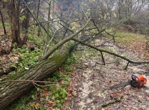 Sursă foto: ISU Argeș