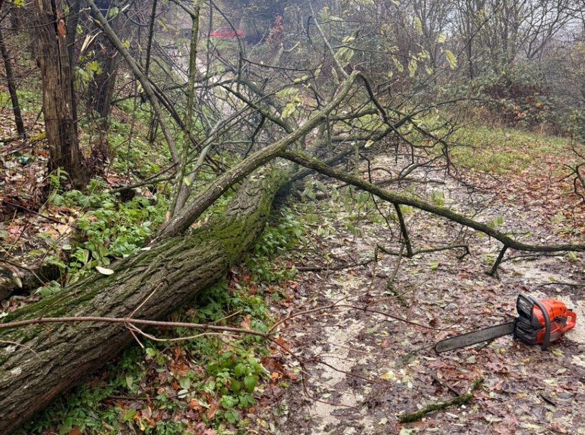 Sursă foto: ISU Argeș