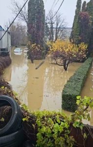 sediul dsv arges - Inundație în Pitești: mai multe clădiri și mașini afectate pe Calea Câmpulung