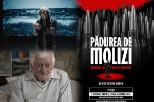138332c8 12af 42d0 ac4b 9ce6fe6036ef - „Pădurea de molizi” ajunge la Pitești: o proiecție specială pe 5 decembrie la Teatrul Alexandru Davila