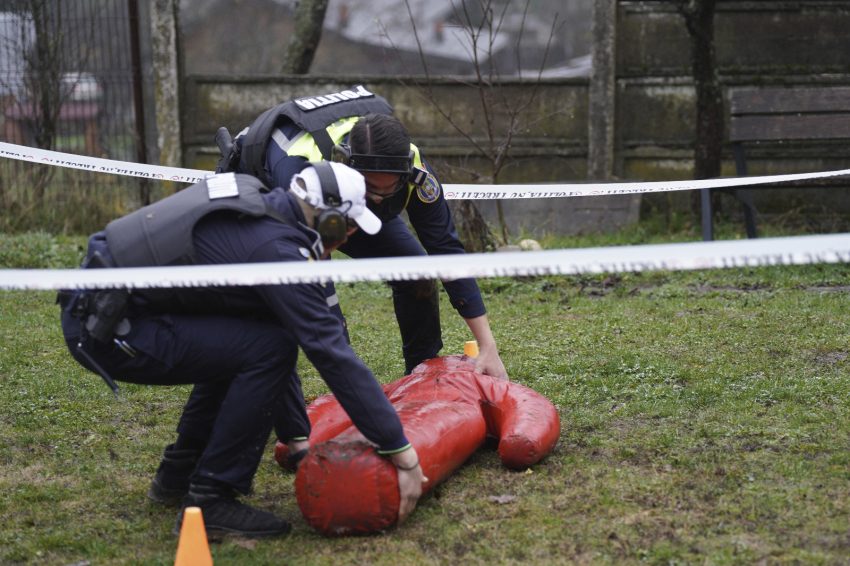 ba3f8f95 dc07 4d39 ba9c 7c1f49251764 - Ziua Națională a României, marcată de polițiștii argeșeni prin competiții, avansări și momente artistice