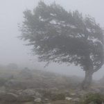 vant munte ceata toamna - Cod galben de vânt puternic în zona de munte a județului Argeș