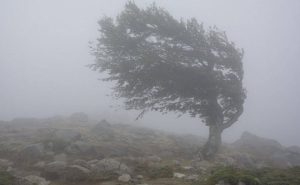 vant munte ceata toamna - Cod galben de vânt puternic în zona de munte a județului Argeș