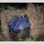 A omorât un biciclist și a ascuns mașina! Șoferul era beat! 10 accident masina biciclist