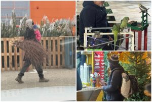 page - Aproape 1.000 de amenzi date de polițiștii locali piteșteni în ultima luna