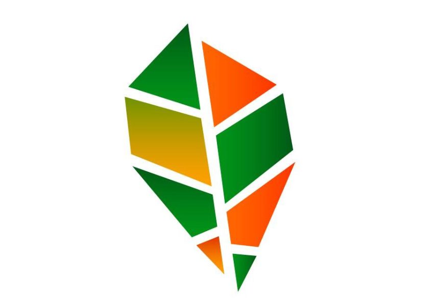 Asociația proprietarilor de pădure STEJARUL Topoloveni, prezentă la FAO Roma în anul 2025 1 Sursă foto: APP Stejarul