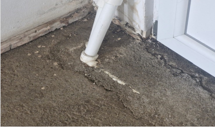 cats 5 - Glasul Arhanghelului cântă pentru Maria Maysa și copiii cu dizabilități. „Concert Caritabil de Crăciun” la Micești