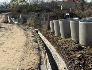 Sursă foto: FB Nicolae Velcea.