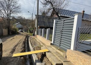 Sursă foto: FB Nicolae Velcea.