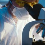 Sursă foto: pexels.com