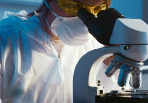 Sursă foto: pexels.com