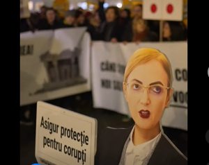 cats 4 - Continuă protestele după dezvăluirile Recorder: „A sunat Lia, ne vedem în stradă și azi, 13 decembrie!”