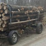 Alte două transporturi ilegale de lemne, depistate în Argeș 10 PSX 20221128 081407 - Alte două transporturi ilegale de lemne, depistate în Argeș